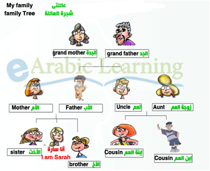 Family Relationship Chart In Hindi And English